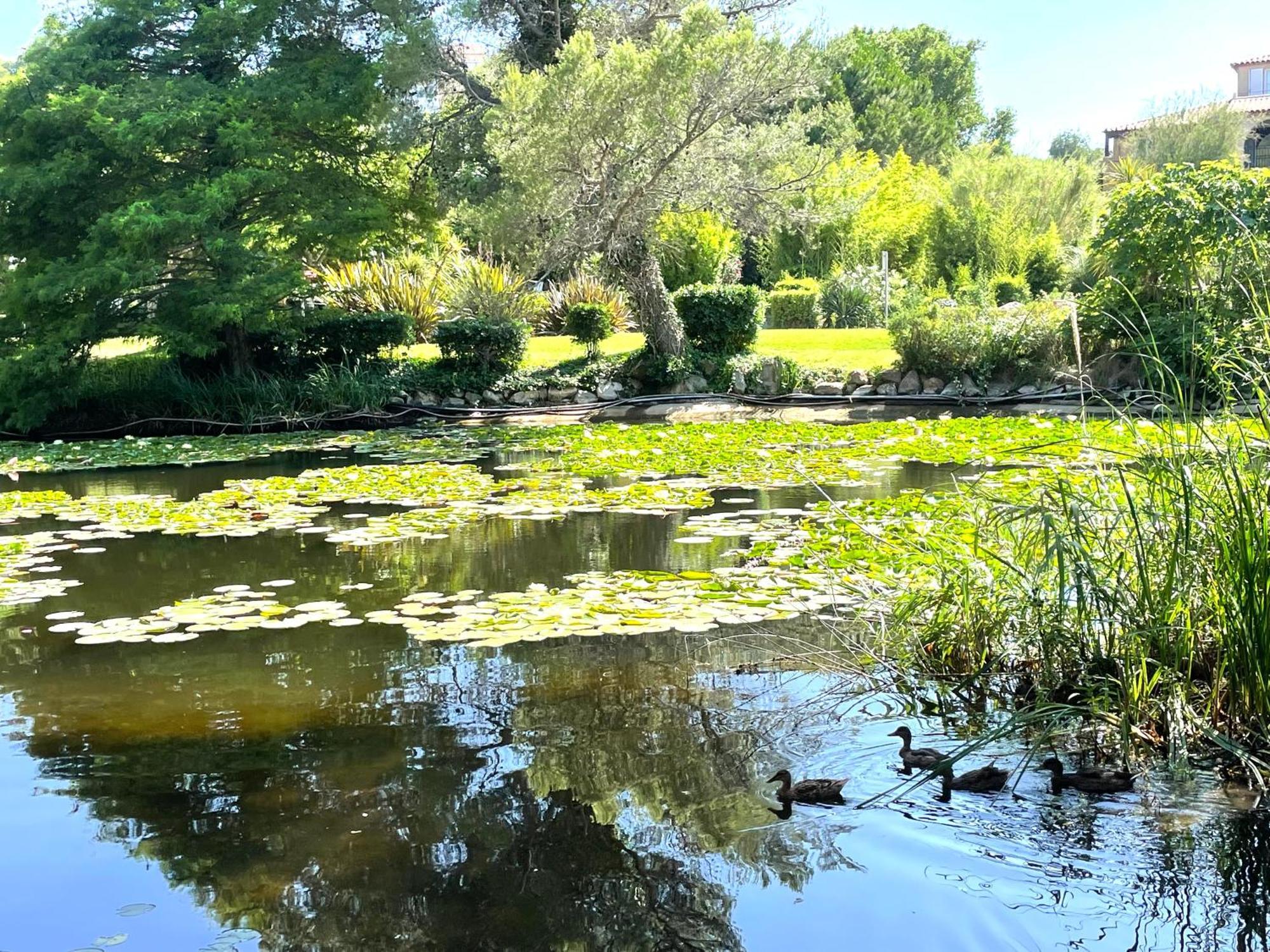 Le Rayon Vert Six-Fours-les-Plages Exteriör bild